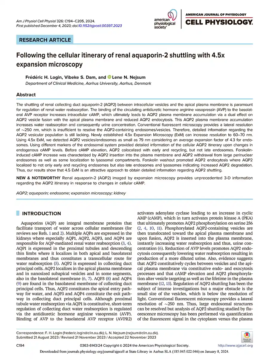 Forside af forskningsartikel om AQP2‑shuttling (Login et al., American Journal of Physiology - Cell Physiology 2024)